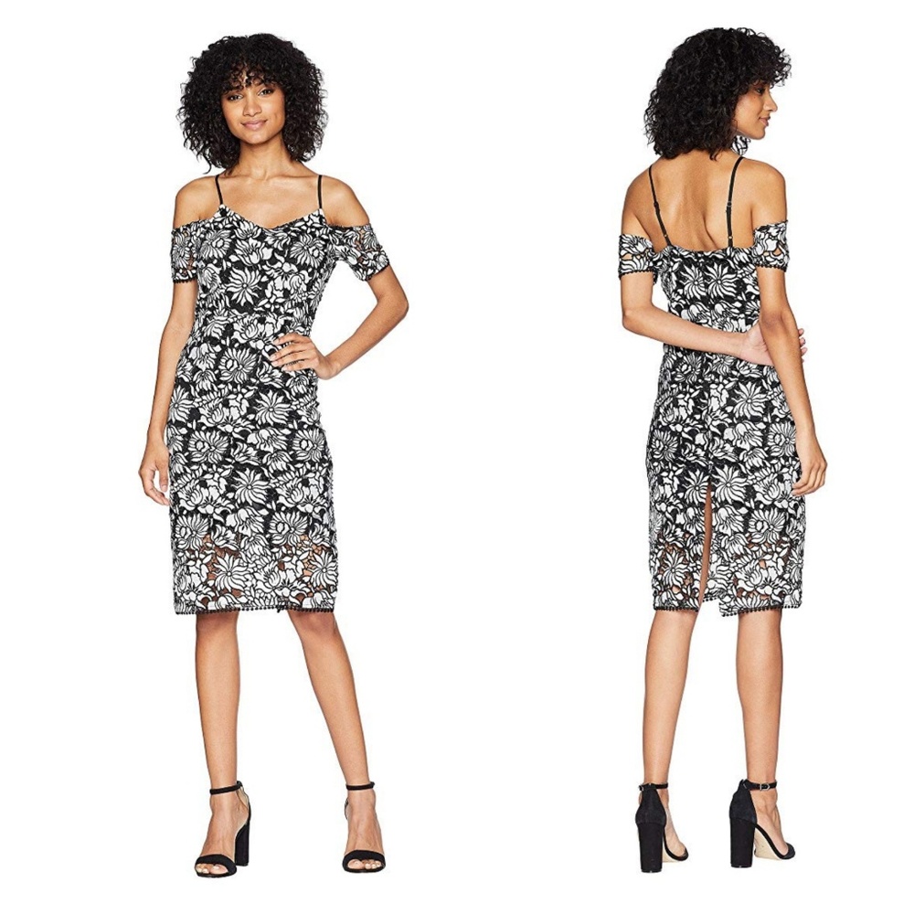 Romeo & Juliet Couture Floral Lace Dress